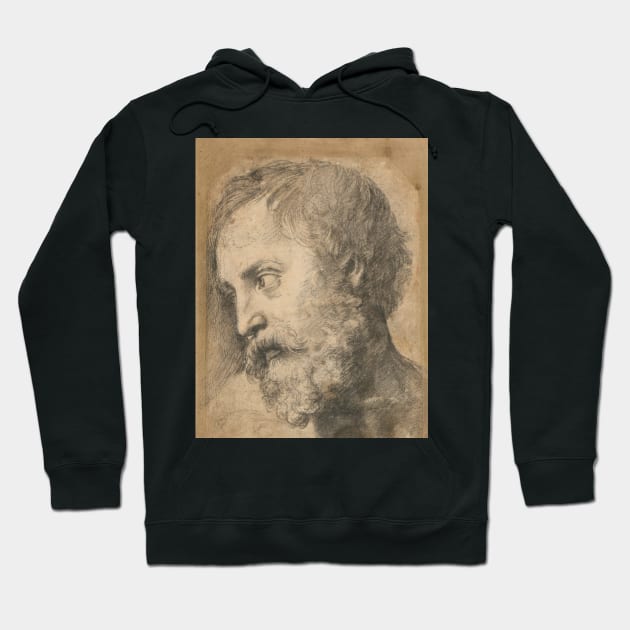 Head of An Apostle in the Transfiguration by Raphael Hoodie by Classic Art Stall